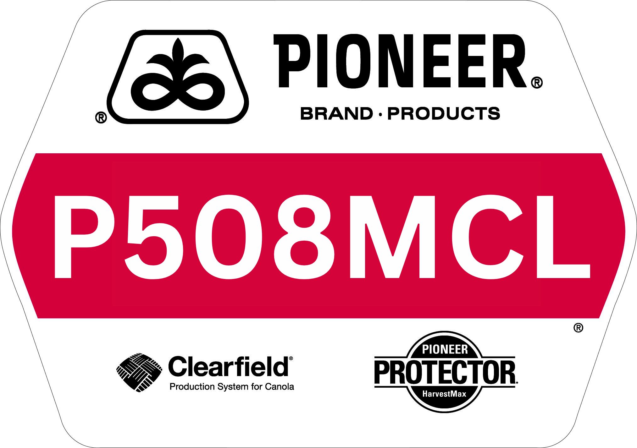 Seed - Pioneer - Canola - P508MCL